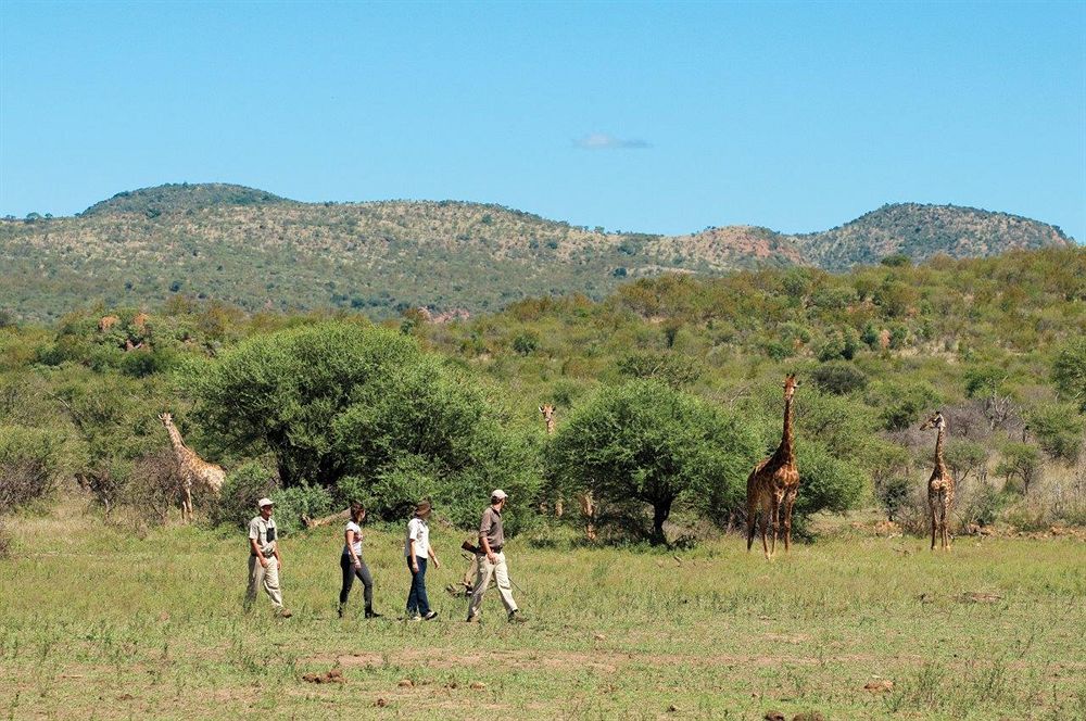 Madikwe Safari Lodge Melorane المظهر الخارجي الصورة