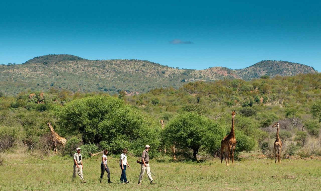 Madikwe Safari Lodge Melorane المظهر الخارجي الصورة